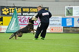 Chicco von Herrenhaus Werder