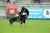 Chicco von Herrenhaus Werder