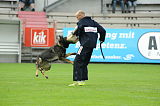 Chicco von Herrenhaus Werder
