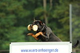 Snoopy vom Amtsbach
