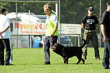Youri vom Hülsental