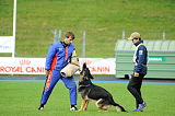 Karus of Timo Kennel