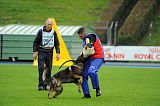 Dornholz Drago