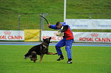 Dornholz Drago