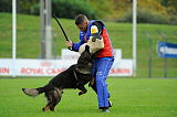 Dornholz Drago