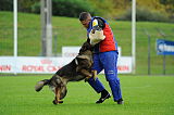 Dornholz Drago