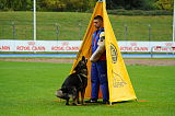 Dornholz Drago