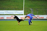 Airwolf Asko