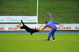 Airwolf Asko