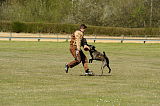 Boyd`s Bullriding Glenmore