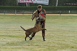 Castor (Zinsmayer)