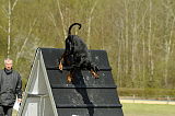 Freya vom Hellerwald