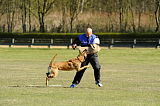 Hank vom Brunsbeker Land