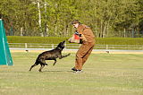 Drago