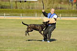 Drago