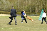 Hanni vom Parchimer Land