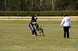 Boyd`s Bullriding Glenmore