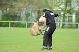 Sepp vom Further Moor