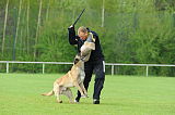 Sepp vom Further Moor