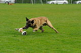 Sepp vom Further Moor