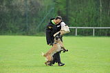 Marley vom Drachenherz