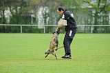Marley vom Drachenherz