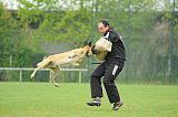 Nanuk vom Further Moor