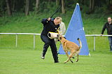 Nanuk vom Further Moor