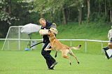 Nanuk vom Further Moor