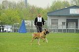 Nanuk vom Further Moor