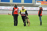 Lito vom Adlerauge