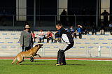 Shywa vom Greifenring