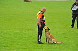 Shywa vom Greifenring