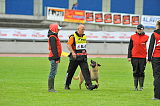 Shywa vom Greifenring