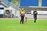 Shywa vom Greifenring
