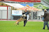 Fox von der Schoenen Ecke