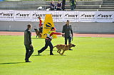 Fire van de Verpihoeve