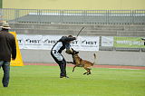Ole vom Holzhäuser Flur