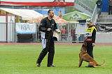 O de l'origine de fFaucon rouge