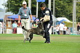 Boyd's Bullriding Glenmore