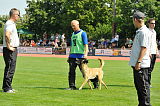 Jessy vom Adlerauge