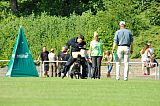 Kara Mia vom Lindelbrunn