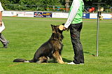 Ritchy vom Diekmoor