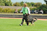 Ritchy vom Diekmoor
