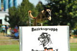 Erec von der schoenen Ecke