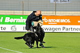 Heronimo vom Haus TTH