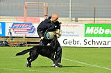 Heronimo vom Haus TTH