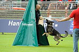 Ferro von den Oderwiesen