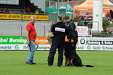 Don de Lupo