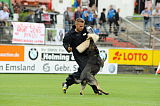 Ares vom Rabenhorst